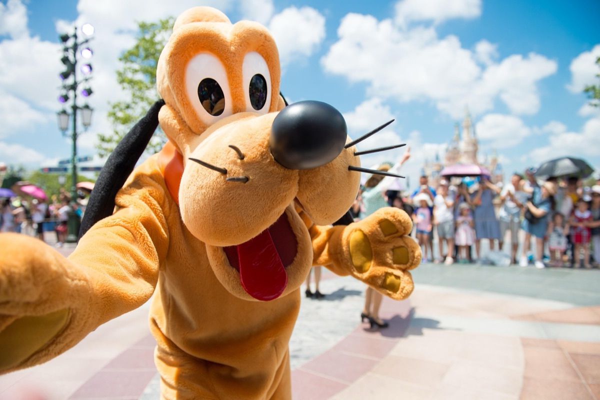 Car Rental Tips for Shanghai Disney