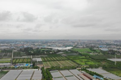 上海文化脈動：從租界到現代的藝術熔爐之旅完整指南