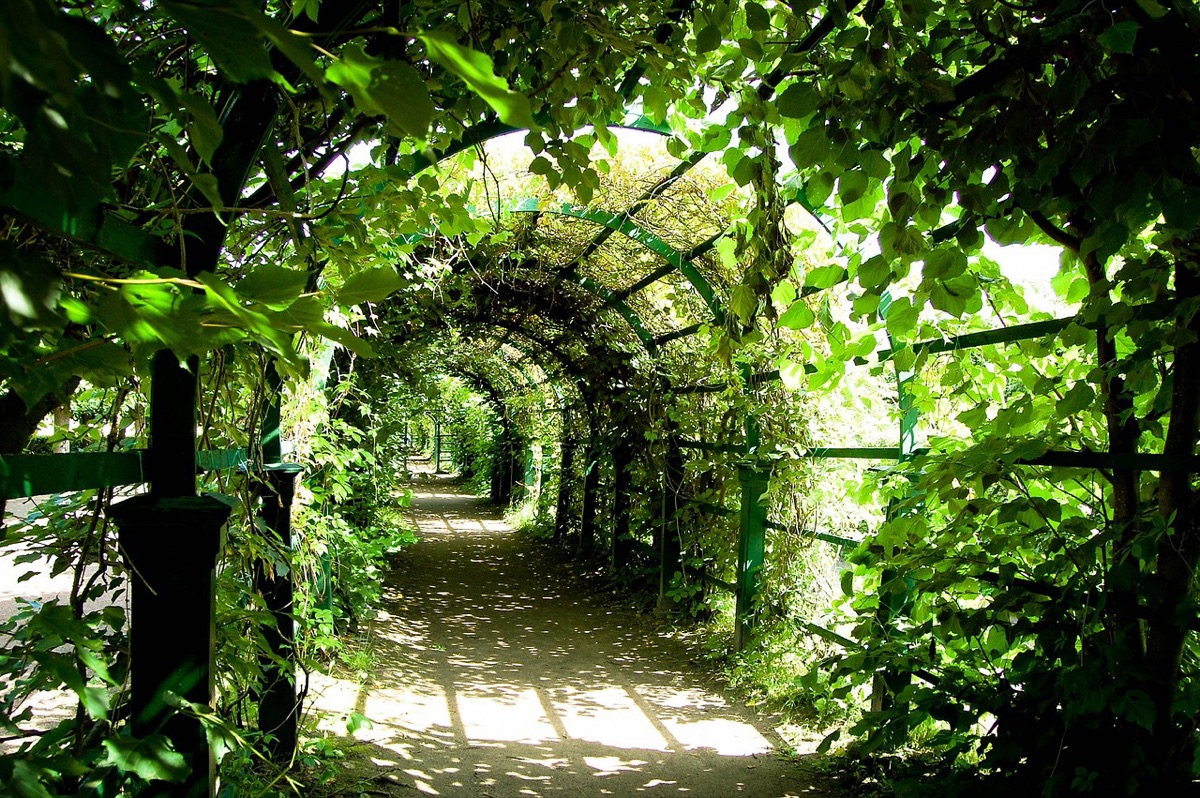 stone path leading to garden in shanghai