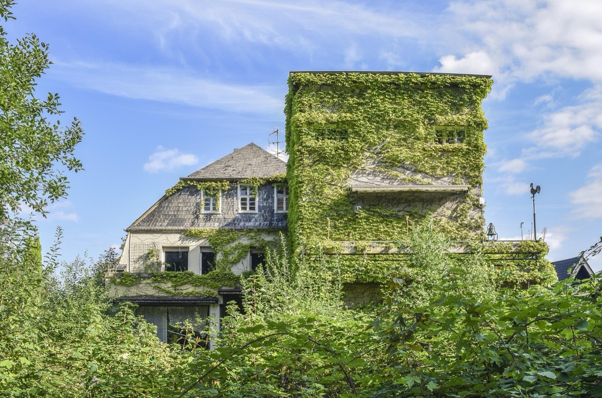 Alt: Französische Vorstadt Fassade mit Efeu